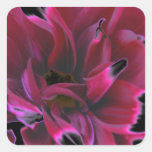 Floral dahlia in deep reds accented in black square stickers