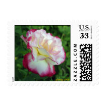 Floral DD_268 Postcard Postage postage by glo53bug Floral DD_268 Postcard Postage postage