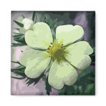 Floral Design Magnets
