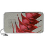 Floral Doodle Speakers