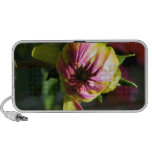 Floral Doodle Speakers