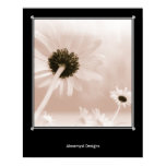 Floral Dreams Floral Dreams