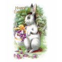 Floral Easter Bunny t-shirts