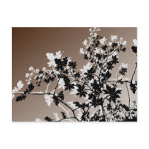 flower, flowers, floral, flora, flourish, garden, nature, art, design, gift, gifts, brown, earthtones, postcard, postcards, Postcard with custom graphic design