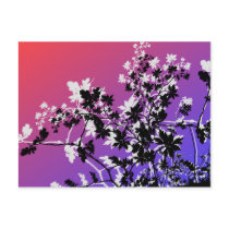 flower, flowers, floral, flora, flourish, garden, nature, art, design, gift, gifts, pink, purple, postcard, postcards, Postcard with custom graphic design