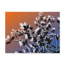 flower, flowers, floral, flora, flourish, garden, nature, art, design, gift, gifts, orange, blue, postcard, postcards, Postcard with custom graphic design