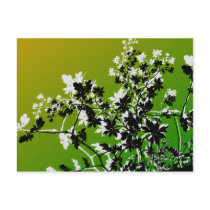 flower, flowers, floral, flora, flourish, garden, nature, art, design, gift, gifts, green, postcard, postcards, Postcard with custom graphic design