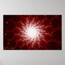 'Floral Evolution: Constellation' Canvas Print