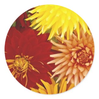 Floral Explosion: Envelope Seals sticker