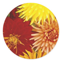 Floral Explosion: Envelope Seals stickers