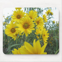 Floral Explosion Mousepad