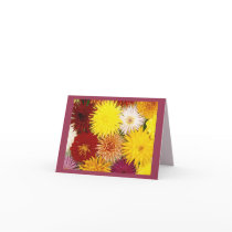 Floral Explosion: Note Card cards