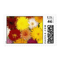 Floral Explosion: US Postage Stamps by occasionsforyou Floral Explosion: US Postage Stamps