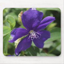 Floral F_56 Mousepad
