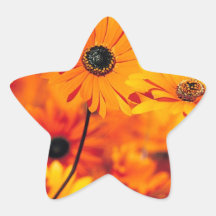 FLORAL FIELDS STAR STICKERS