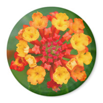 Floral Fireworks Magnet #1 by bontondesigns Floral Fireworks Magnet #1