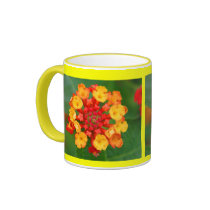 Floral Fireworks Mug #5
