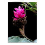 Floral Fuschia Greeting Card