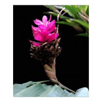 Floral Fuschia posters by cybervykky Floral Fuschia posters