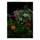 Floral Fusion Cards