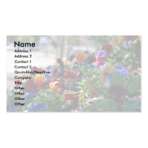 Floral Garden Business Card Large Format