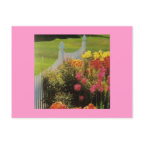 Floral Garden Postcard postcards