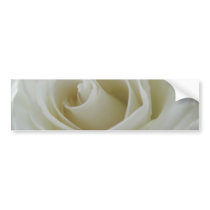Floral Glow Bumper Stickers