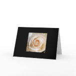 Floral Greeting Card cards