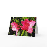 floral, flower, azalea, greeting, card, pink,
