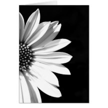 floral greeting cards