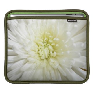 Floral iPad and laptop Sleeve