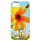 floral iPhone 5 case