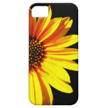 floral iPhone 5 case
