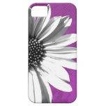floral iPhone 5 cases