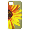 floral iphone 5 cover