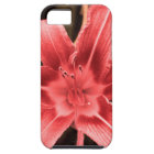 floral iPhone 5 cover