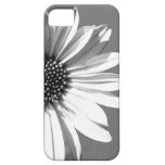 floral iPhone 5 covers