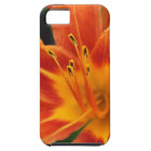 floral iPhone 5 covers