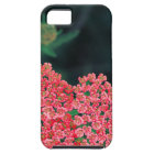 floral iPhone 5 covers