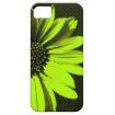 floral iphone 5 covers