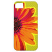 floral iphone 5 covers