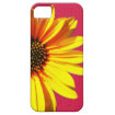 floral iphone 5 covers