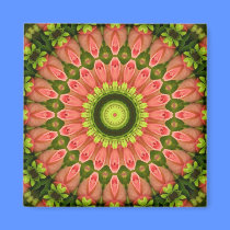 Floral Kaleidoscope magnets