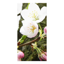Floral Ladies Photo Card