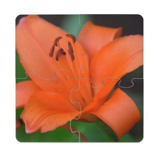 Floral Lilly Puzzle Coaster