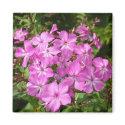 Floral magnet