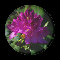 Floral magnet