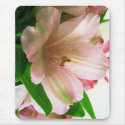 Floral mousepads