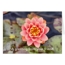 Floral Note Card cards