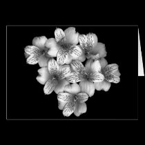 Floral Note Card of Silver Posy cards